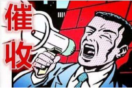 陵水债务清欠服务